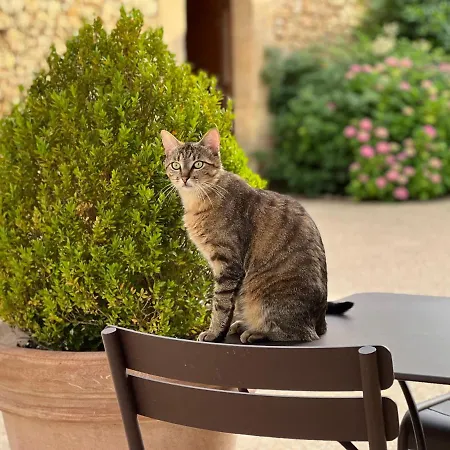La Romaine 4*